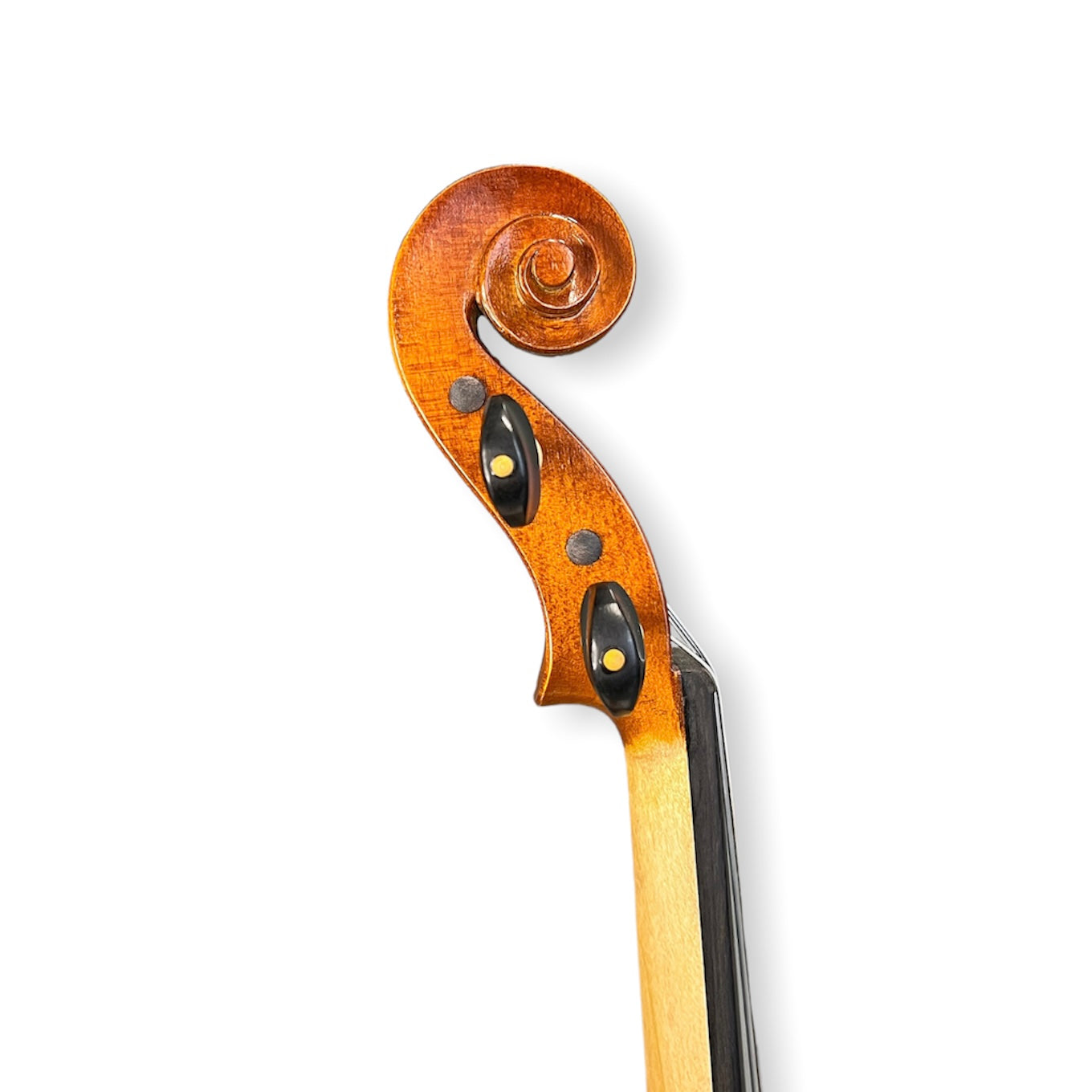 Orion OVA200 Viola Outfit 16'' *CLEARANCE